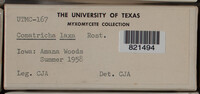 Image Associated With the Occurence